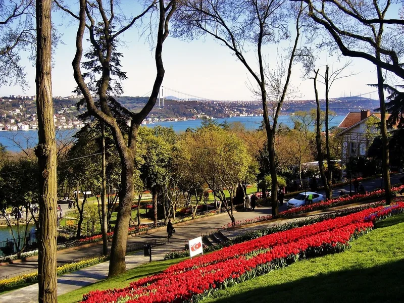 emirgan with bosphorus in the background