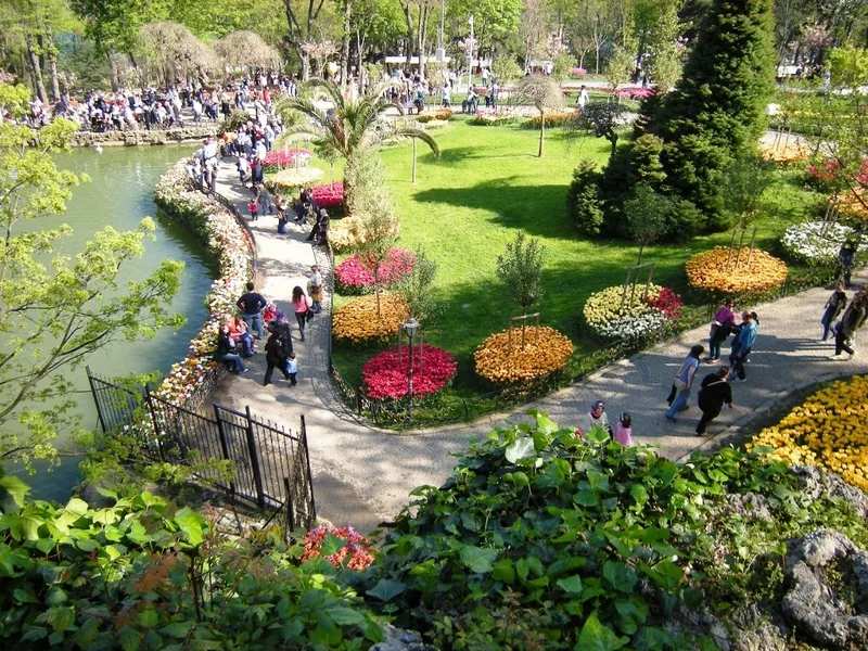 emirgan park and tulips